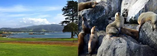 美國東西海岸+航母培訓體驗 | 中信銀行私人銀行帶您領(lǐng)略不一樣的夏令營